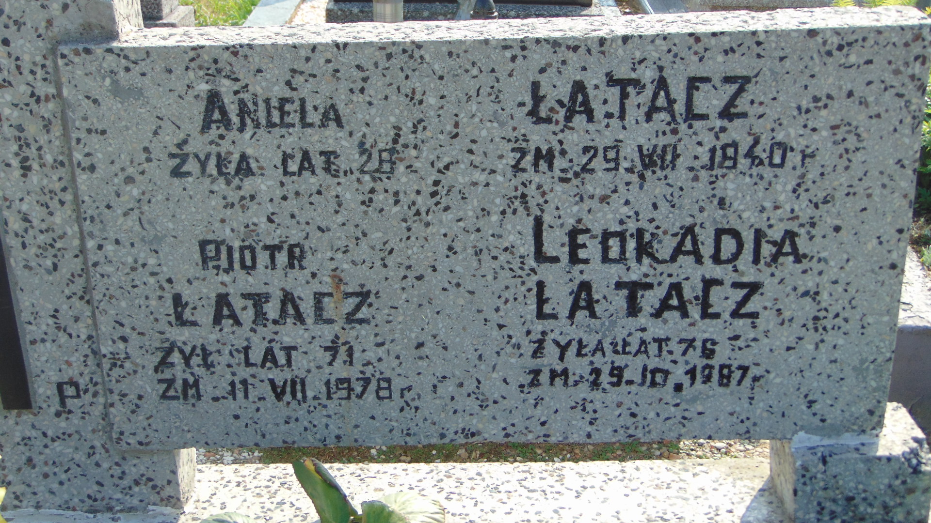 Piotr Łatacz Dąbrowa Zielona - Grobonet - Wyszukiwarka osób pochowanych