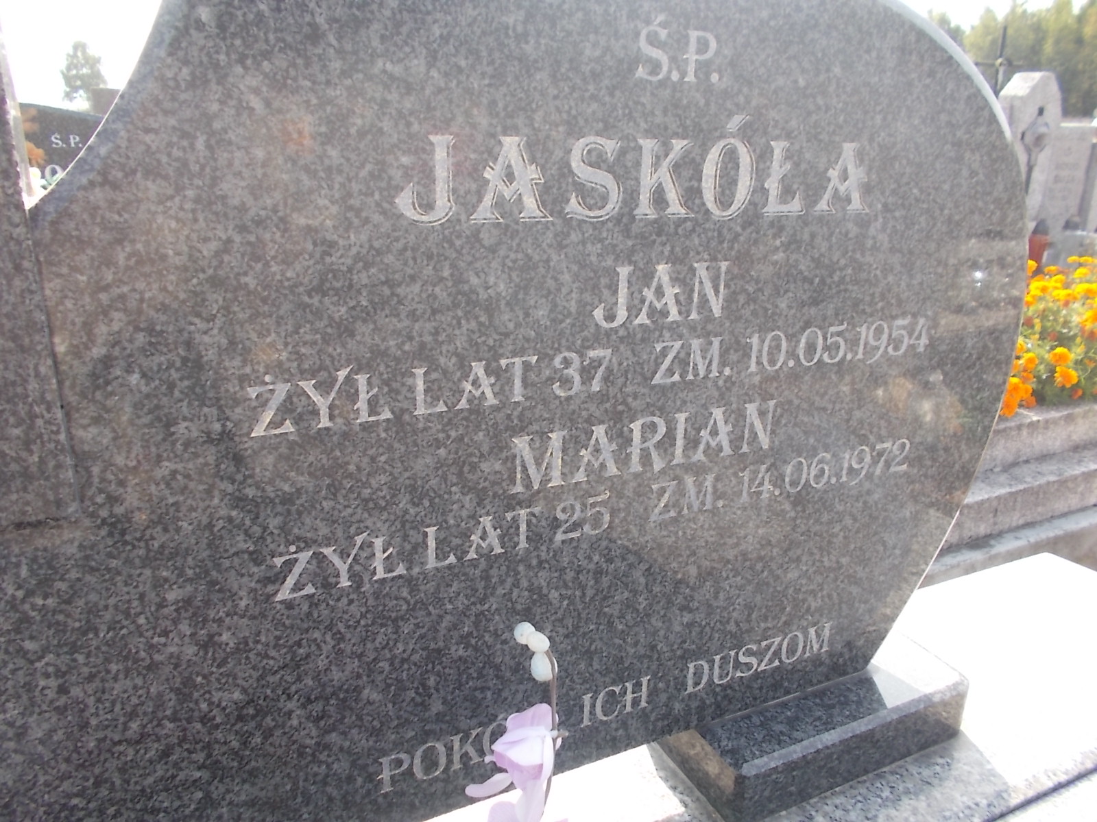 Jan Jaskóła Dąbrowa Zielona - Grobonet - Wyszukiwarka osób pochowanych