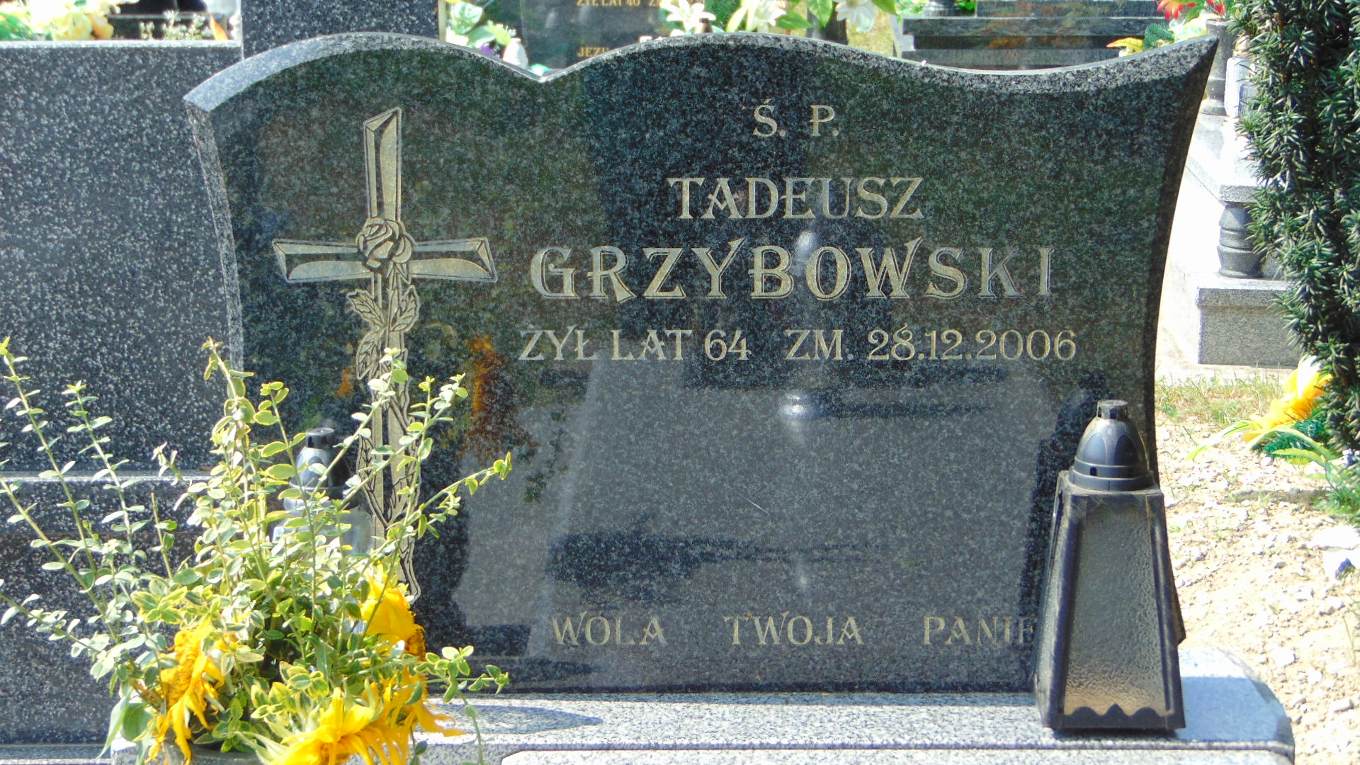 Tadeusz Grzybowski Dąbrowa Zielona - Grobonet - Wyszukiwarka osób pochowanych